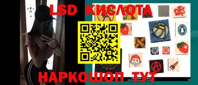 прущие грибы Моздок