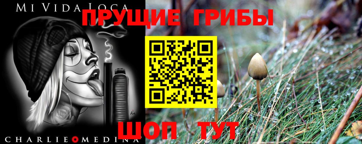 Псилоцибиновые грибы Cubensis Энгельс