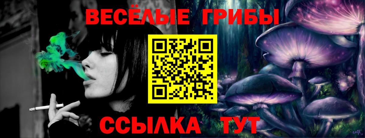 Энгельс  Галлюциногенные грибы Cubensis  закладки  Псилоцибиновые грибы Psilocybe  Вход с VPN 